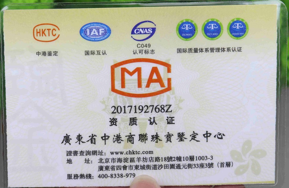 Fast Shipping Service