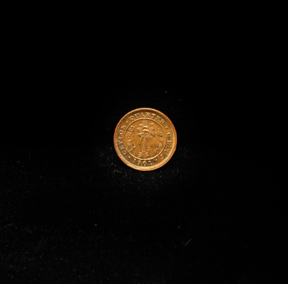1901 Ceylon 1/4 Cent KM 90 #EB15140