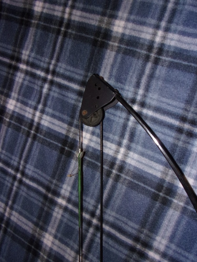 Bear Mini Magnum Youth Compound Bow