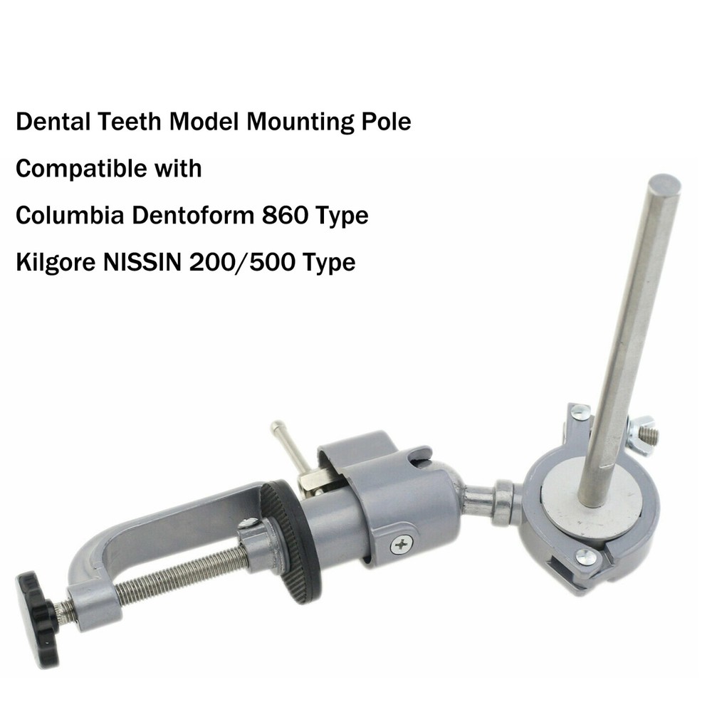 US Columbia Dentoform 860 Type Dental Typodont 32Pcs Teeth Model & Mounting Pole