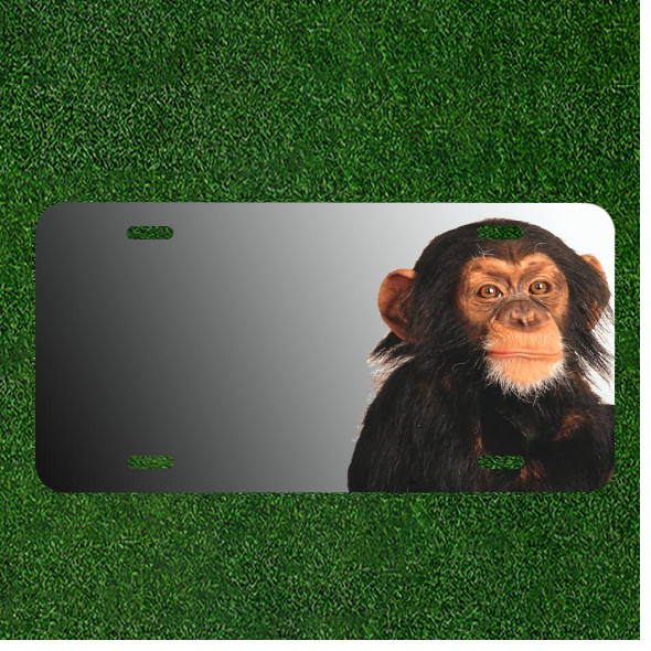 Custom Personalized License Plate Auto Tag With Cute Monkey Add Names Or Texts