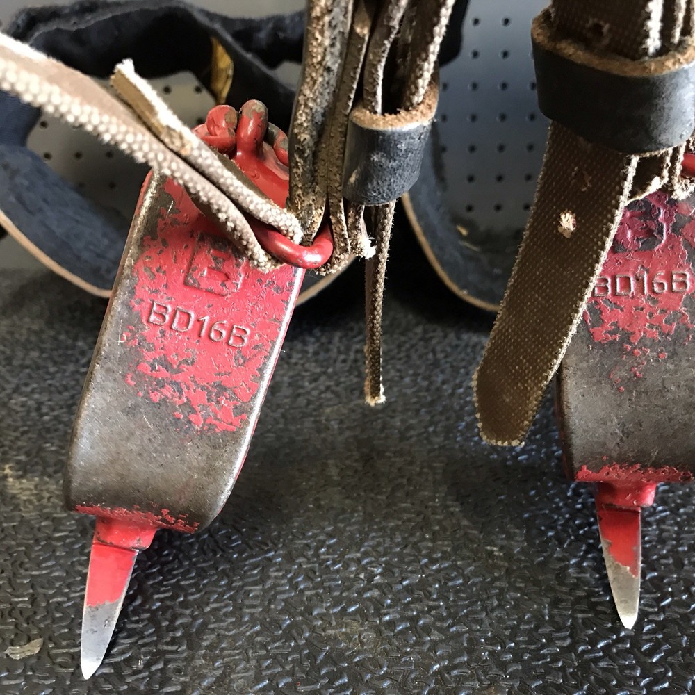 BASHLIN BD16B 145AVW-L TREE CLIMBING SPIKES