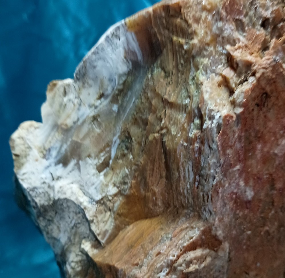 Opalized Petrified Wood Specimen WA State 17 LBS