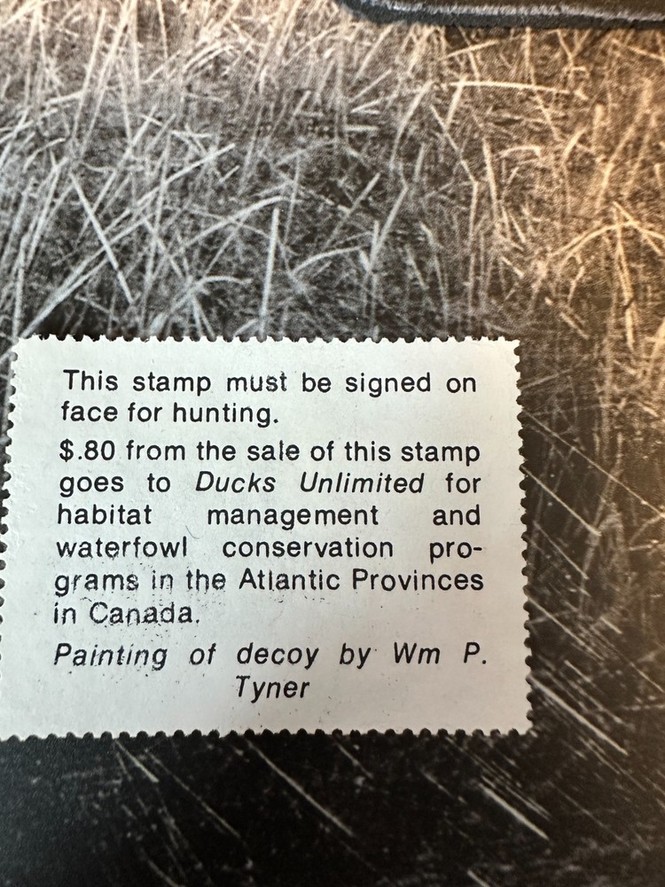 1976 Massachusetts State Duck Stamp,