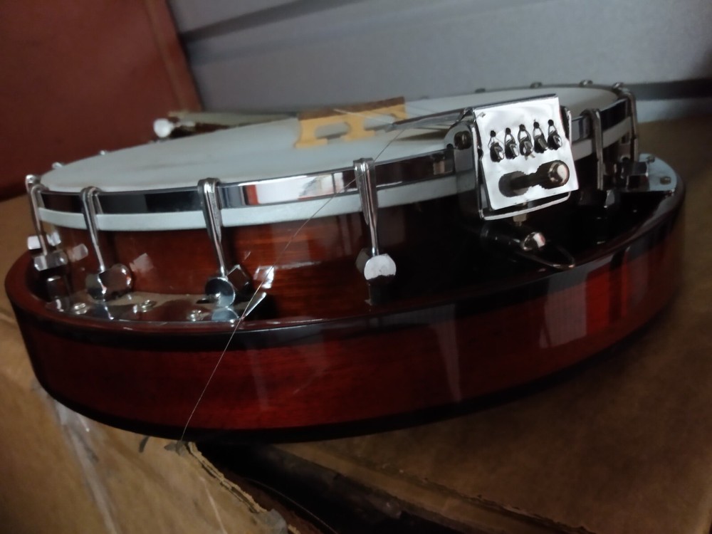 Banjo Danville Remo 5 Strings