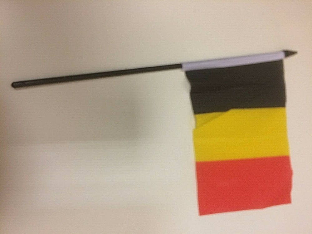 New 4" x 6" and 6" x 9" Hand Held Flags