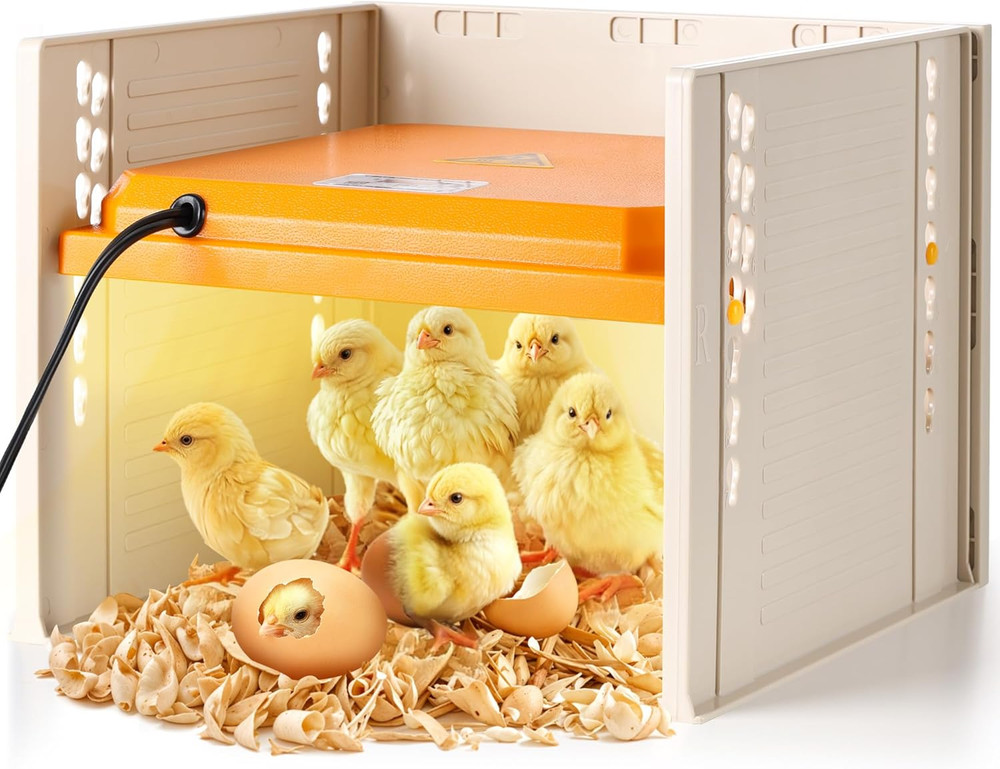 Chick Brooder, Chicken Brooder Heating Plate for Chicks with Adjustable Height a