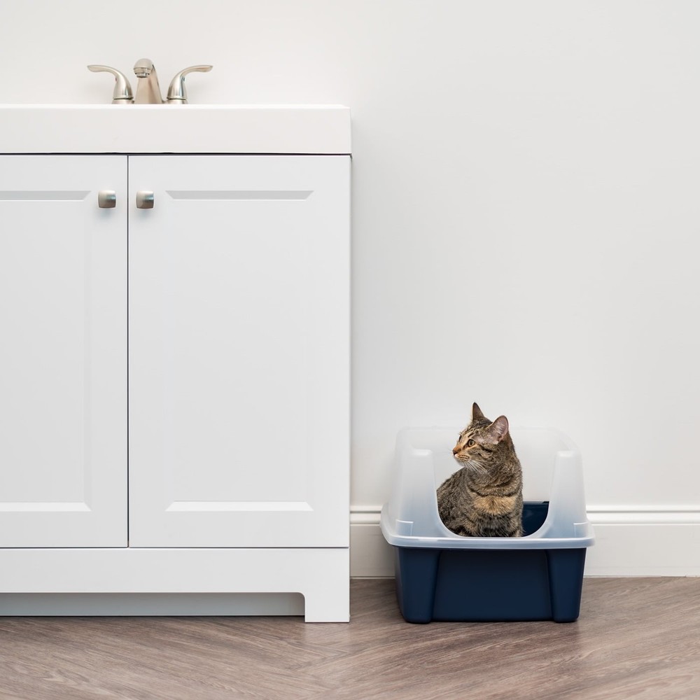 Open Top Cat Litter Box with Shield, Navy