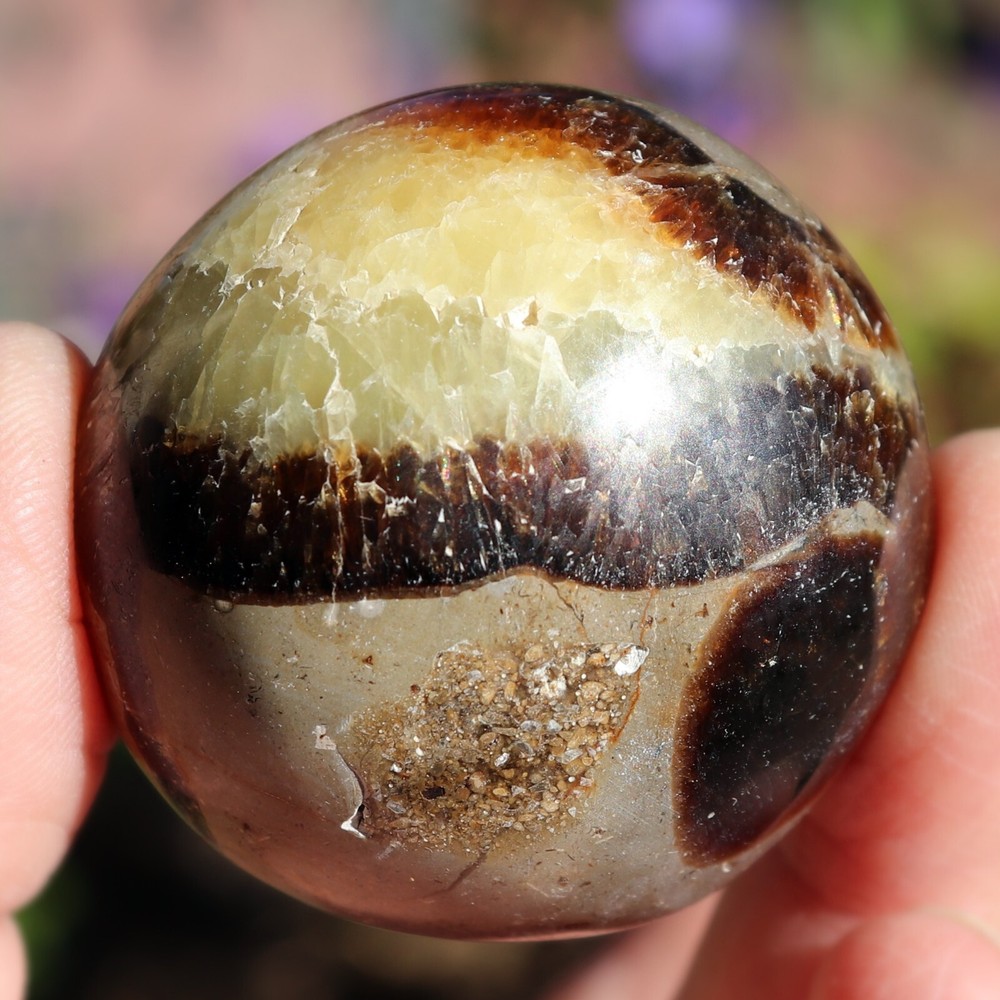 Polished Septarian Nodule (SEP21)