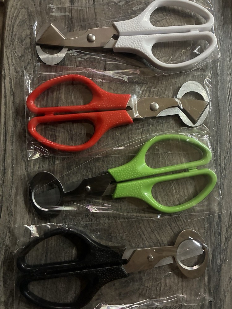 quail egg scissors