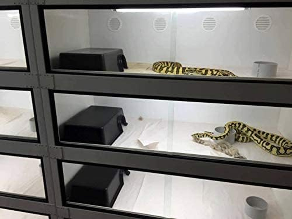 Snake Hides for Ball Pythons X-Large Ball Python Hides 16.5"X10.6"X4.3"(Xl) Plas