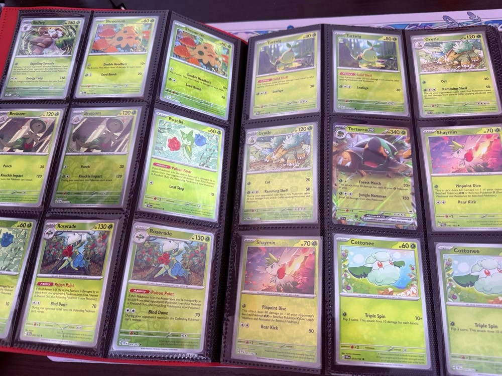 Temporal Forces Complete Base master Set Reverse Holos, EXS with 9 pocket binder