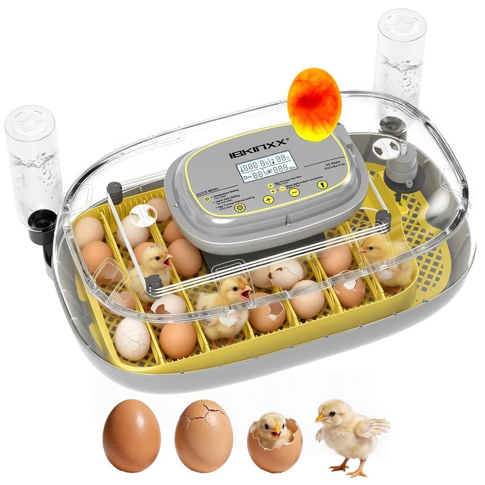 Automatic Egg Incubator - 24 Egg Capacity with Smart Temp Control & 360° View