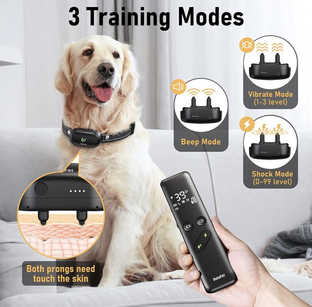 dog training collar with remote 2 dogs