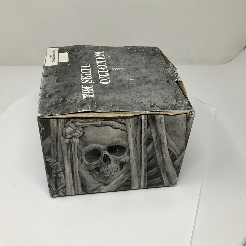 Summit Translucent Skull Head Collectible 2007 Heavy Solid Decoartion 6"