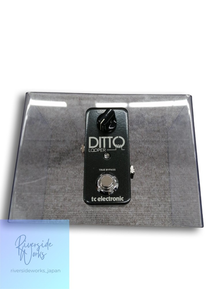 TC Electronic Ditto Looper Guitar Loop Station JP