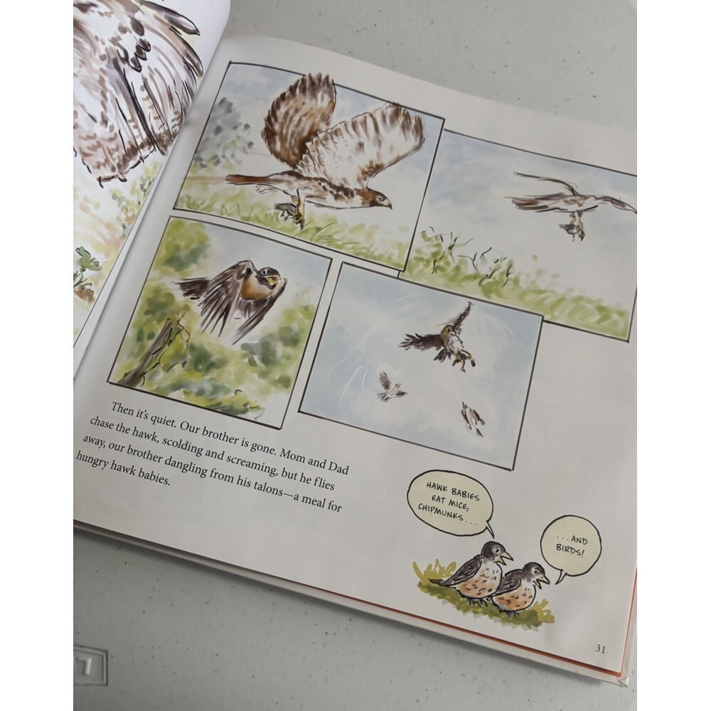Robins How They Grow