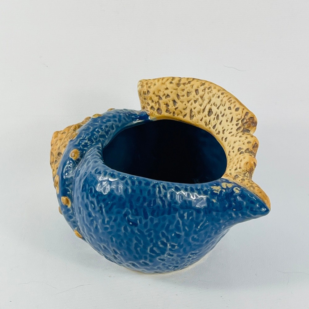 Seashell Blue Planter Succulents Houseplants Drain Hole