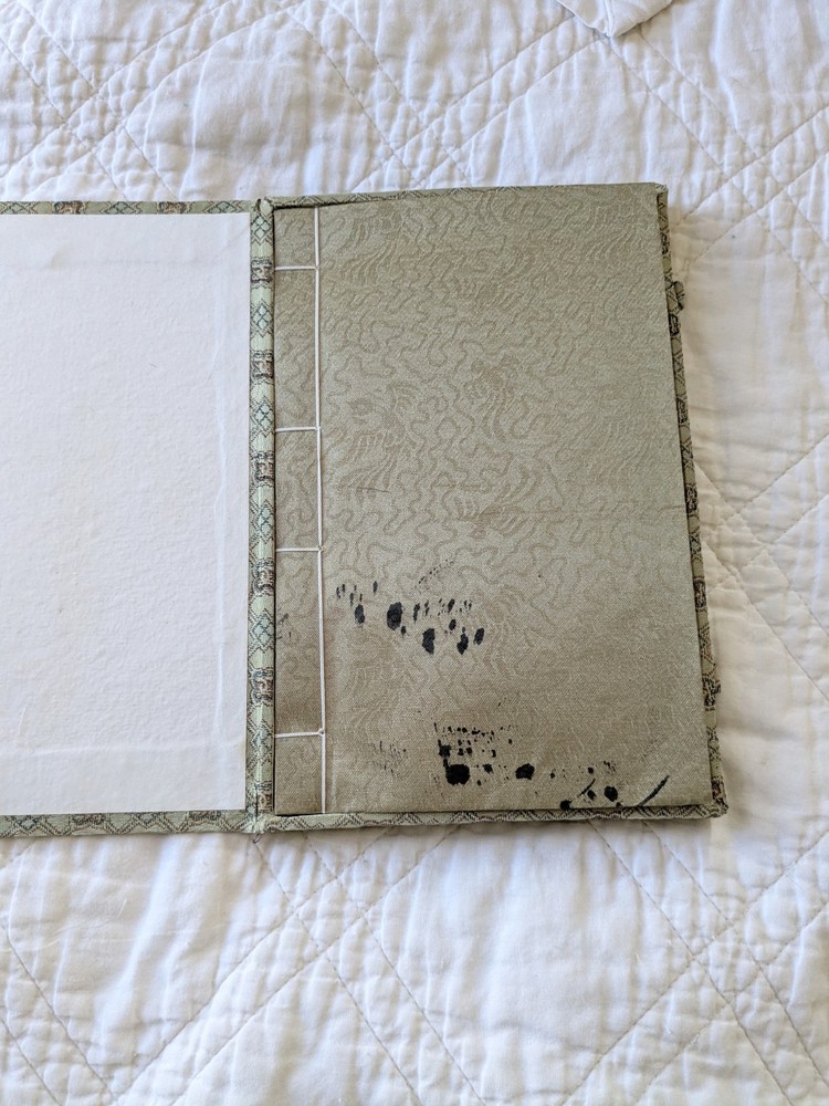 Vintage Chinese Book Calligraphy