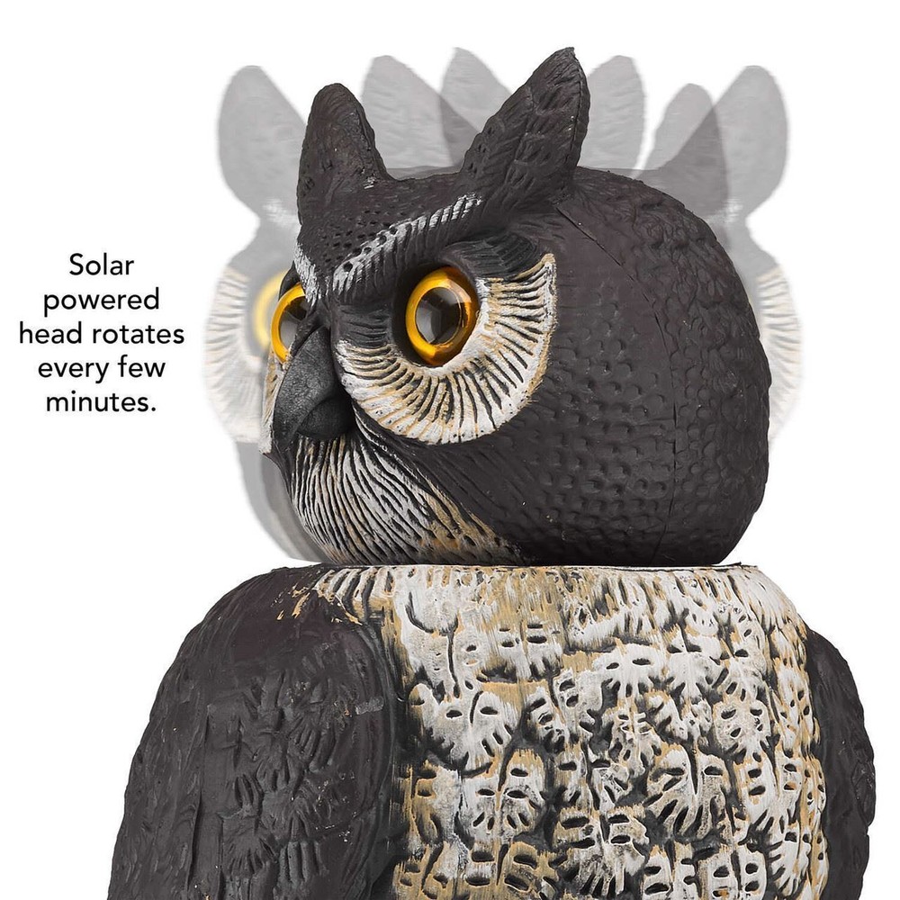 Dalen Motion Activated Solar Rotating Head Owl Decoy MRHO-4