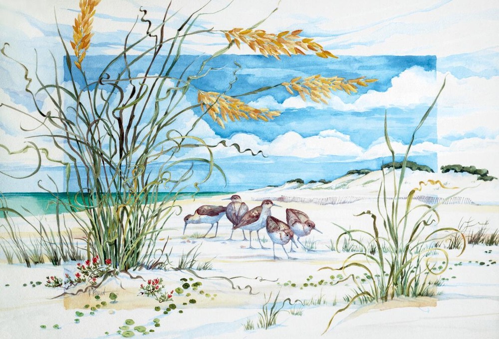 Ceramic Tile Mural Kitchen Backsplash - Sandpiper Dunes - by Paul Brent