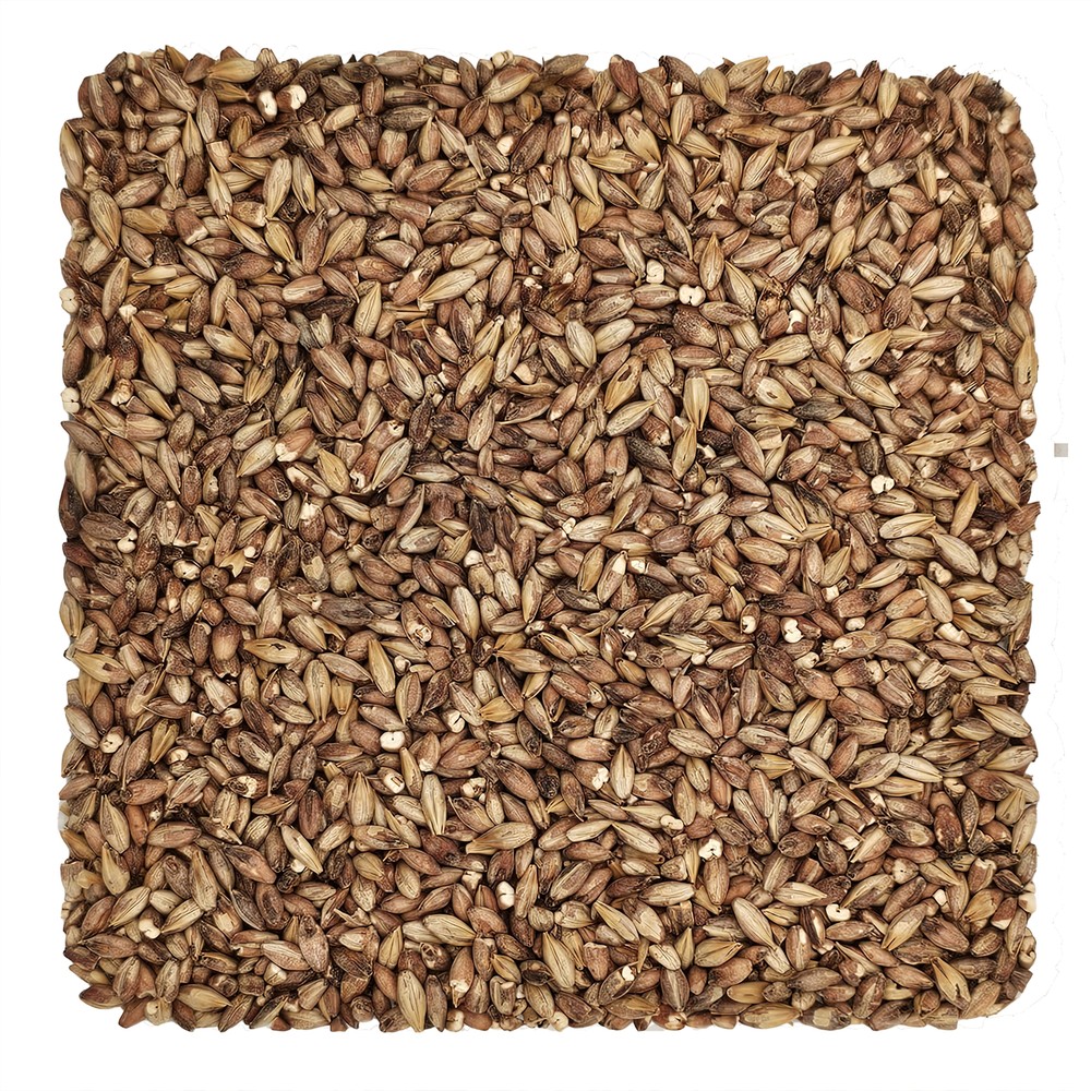 Home Brew Ohio Special Roast Grain 10lb