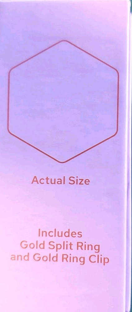 NIB - Tailr CLASSIC PET TAG - GOLD- SIZE: LARGE - APPLE/ANDROID COMPATIBLE