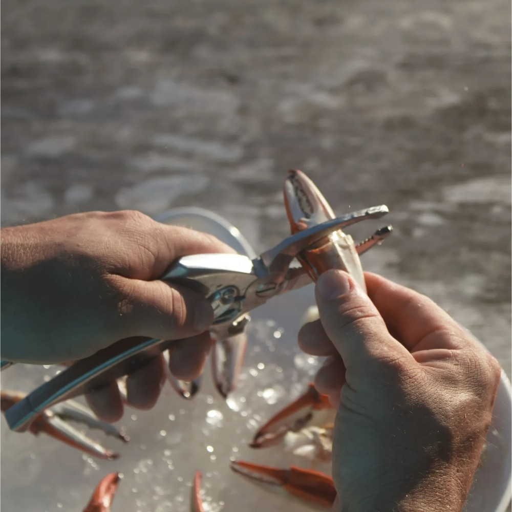 Toad Fish Crab Cutter