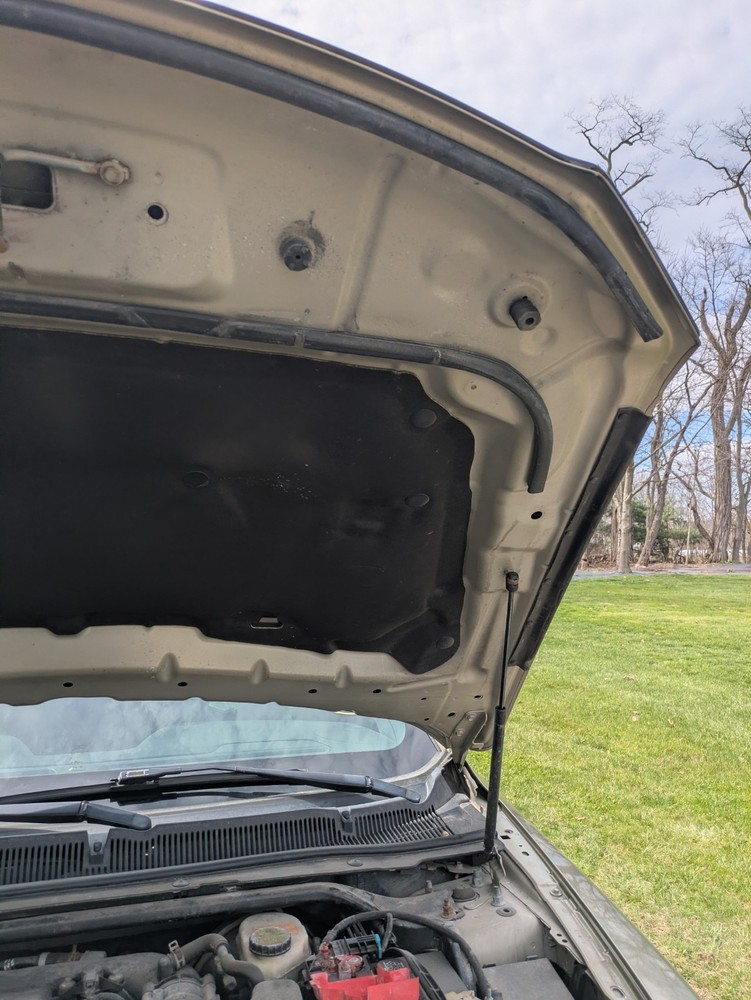 2013-2019 Ford Taurus Hood OEM