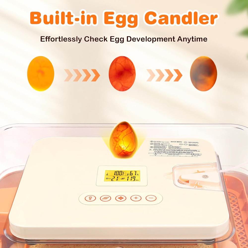 56 Egg Incubator with Auto-Turning, Hatching Temperature & Humidity Control