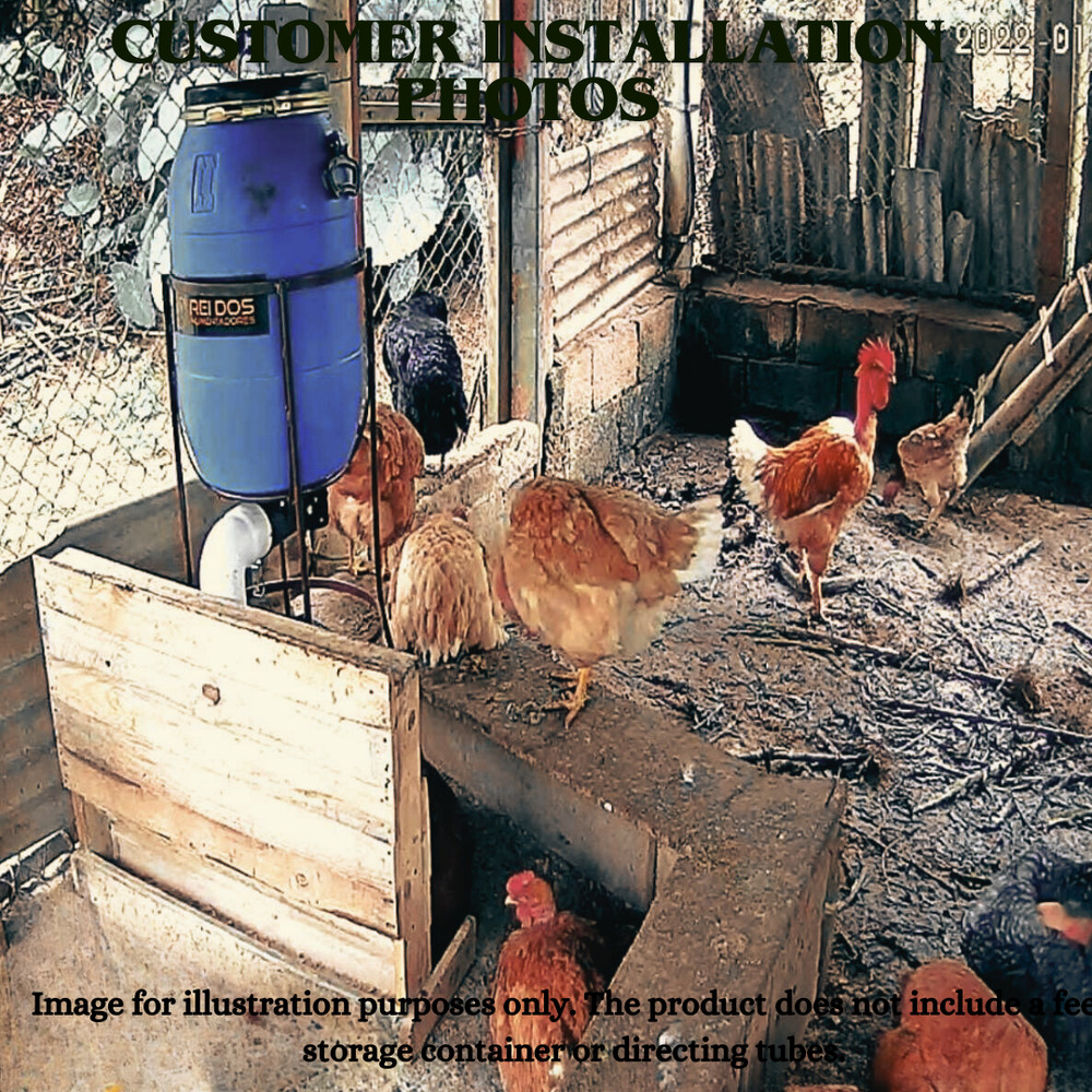 Chicken & Turkey Automatic Feeder – Dispenser System for Multiple Birds