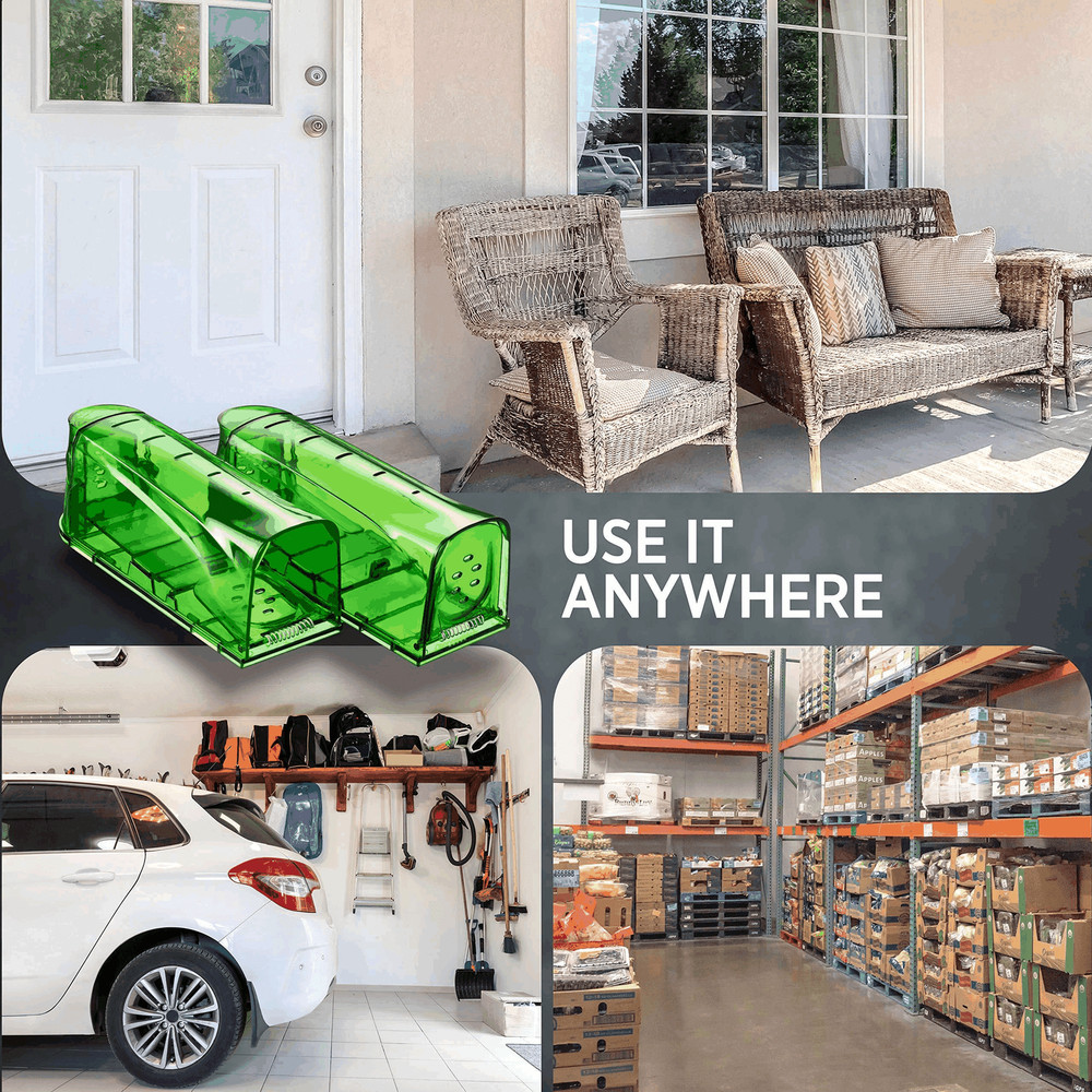 Humane Mouse Traps Catch and Release That Work Mouse Traps No Kill Live