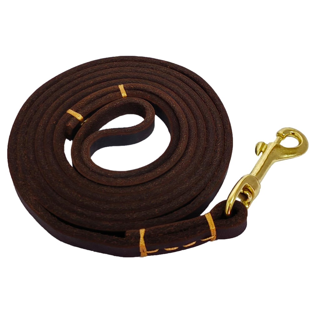 Soft Genuine Leather Dog Leash Walking Training Lead Strap Brown 6 FT Length
