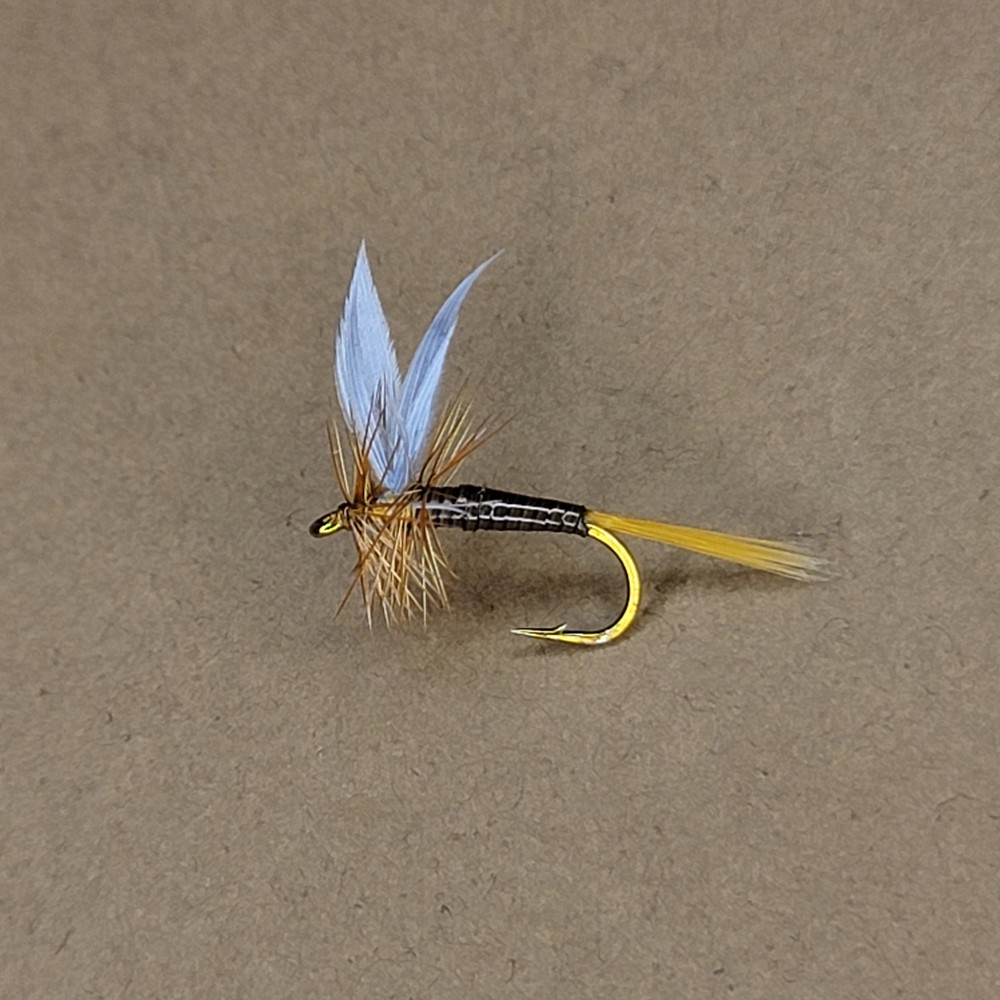 Ginger Quill | Size #14