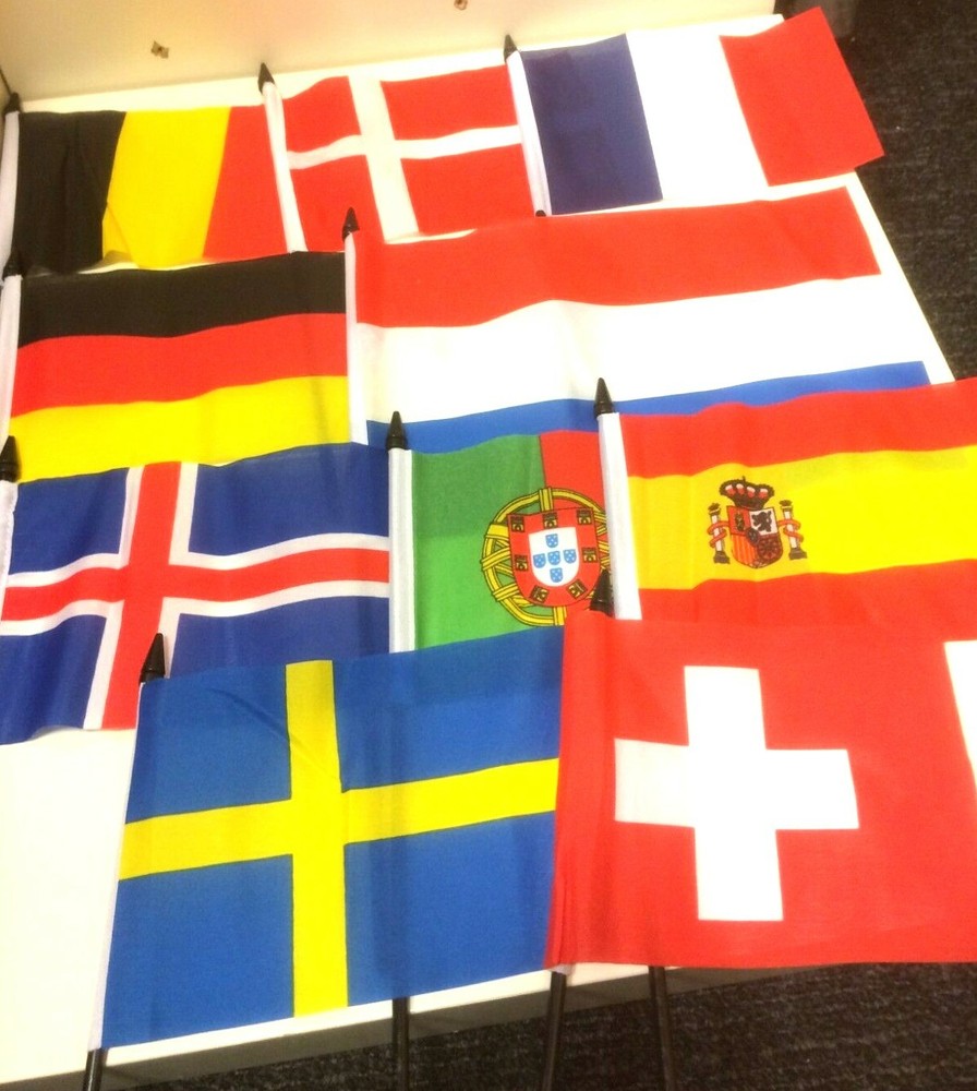 New 4" x 6" and 6" x 9" Hand Held Flags