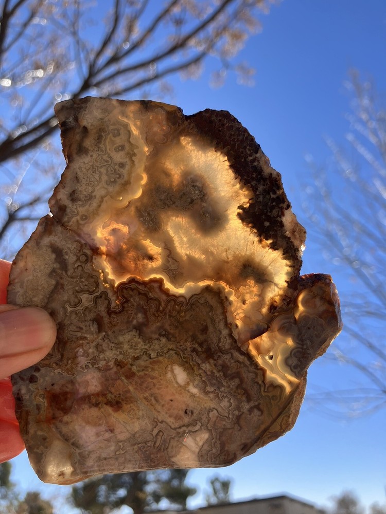 Crazy Lace Agate Slab