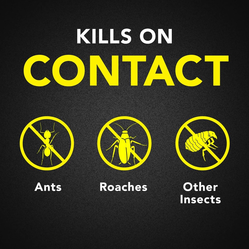 Raid Ant & Roach Killer Spray For Listed Bugs Lavender Scent, 17.5 oz