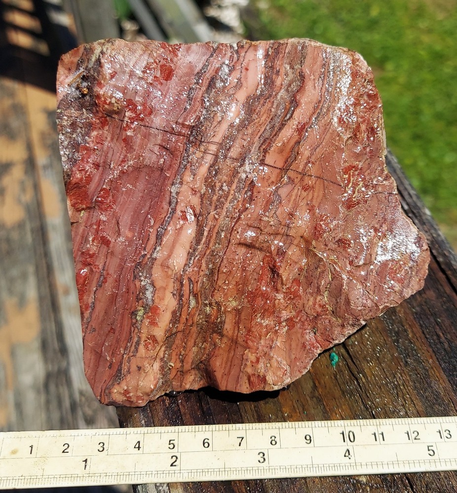 Kona Dolomite or Sarape Jasper
