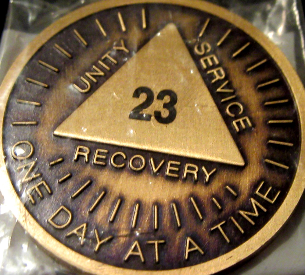 Alcoholics Anonymous AA 23 Year Sunshine Bronze Medallion Token Chip Sober