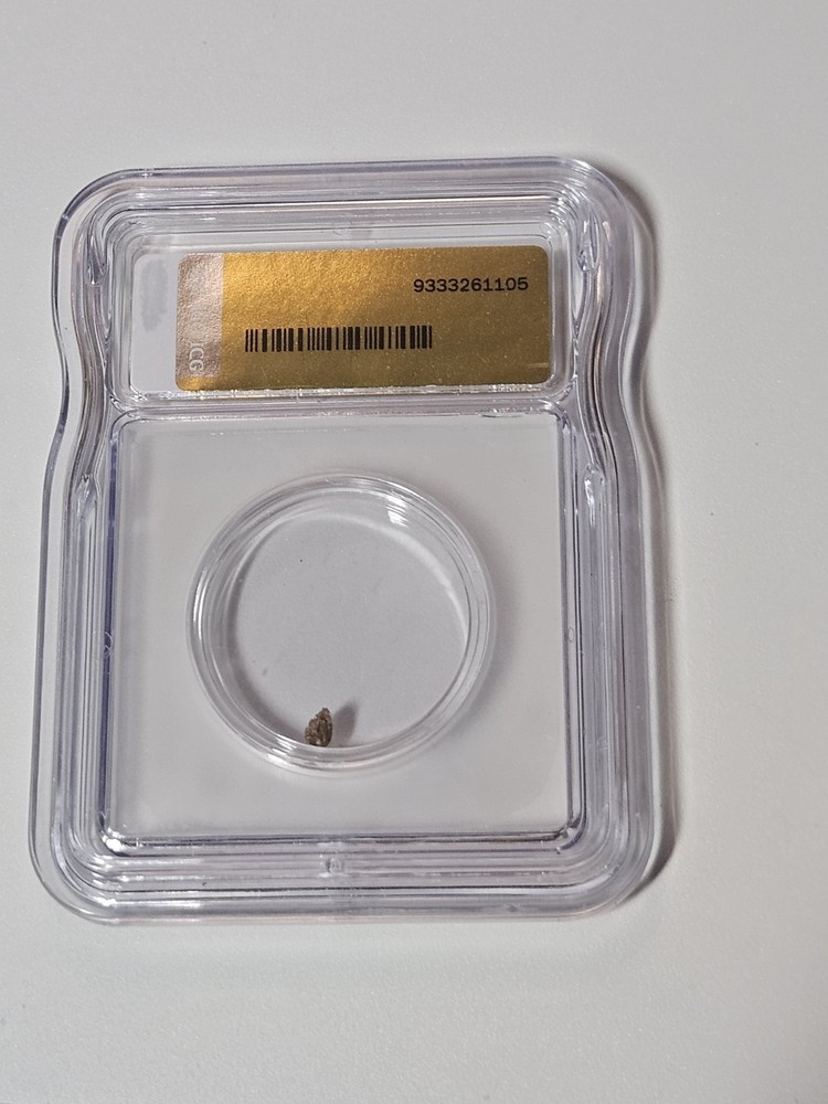 ICG-Genuine Gold Nugget .14 G Eagle Alaska