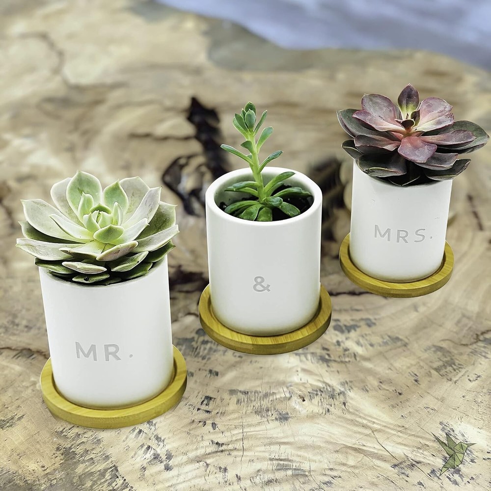 Mr and Mrs Planter Set 3pc Wedding Gift Decorative Flower Pot Set