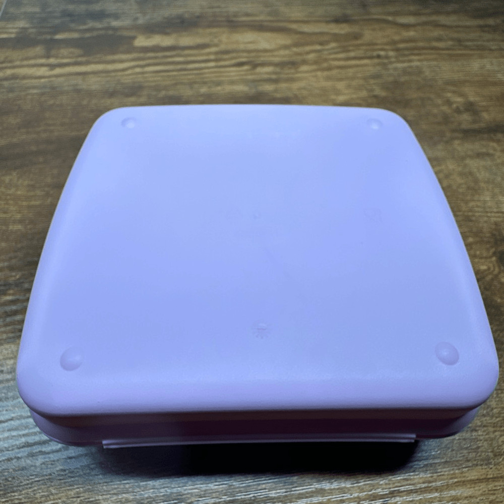 Vera Bradley Sandwich Keeper Pink Cloud Hinged Tupperware
