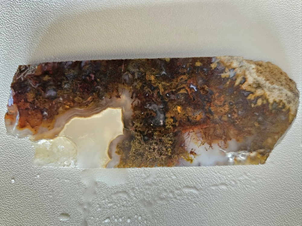 Agate Lapidary Slab With Moss