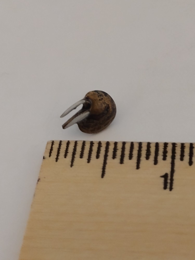 Tiny Walrus Head Tack Pin