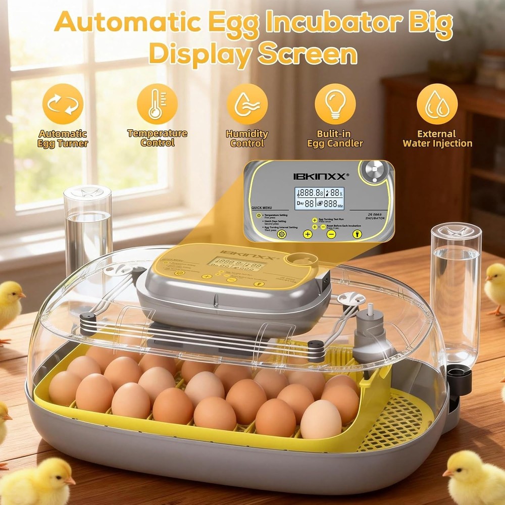Automatic Egg Incubator - 24 Egg Capacity with Smart Temp Control & 360° View