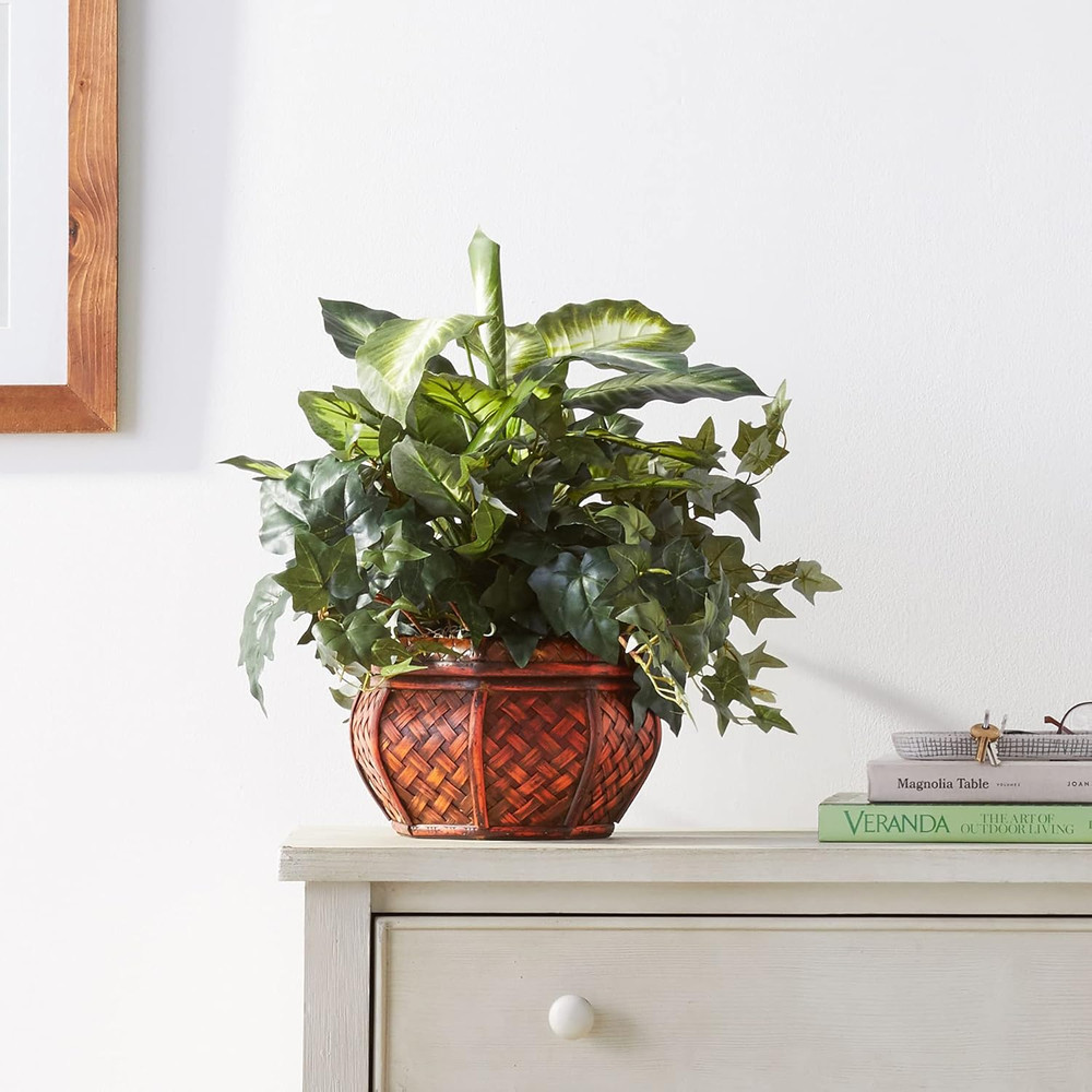 Dieffenbachia & Ivy with Decorative Planter