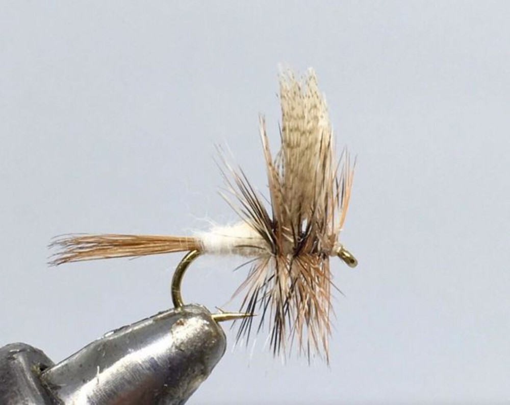 One Dozen (12) - Grey Fox - Dun - Dry Fly