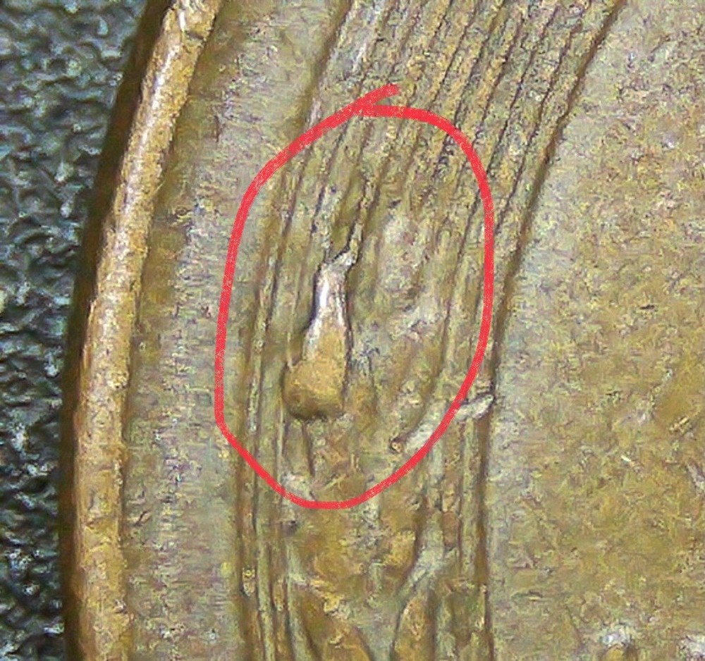 1955 D Lincoln Wheat Cent Rev Wheat Die Chip error.