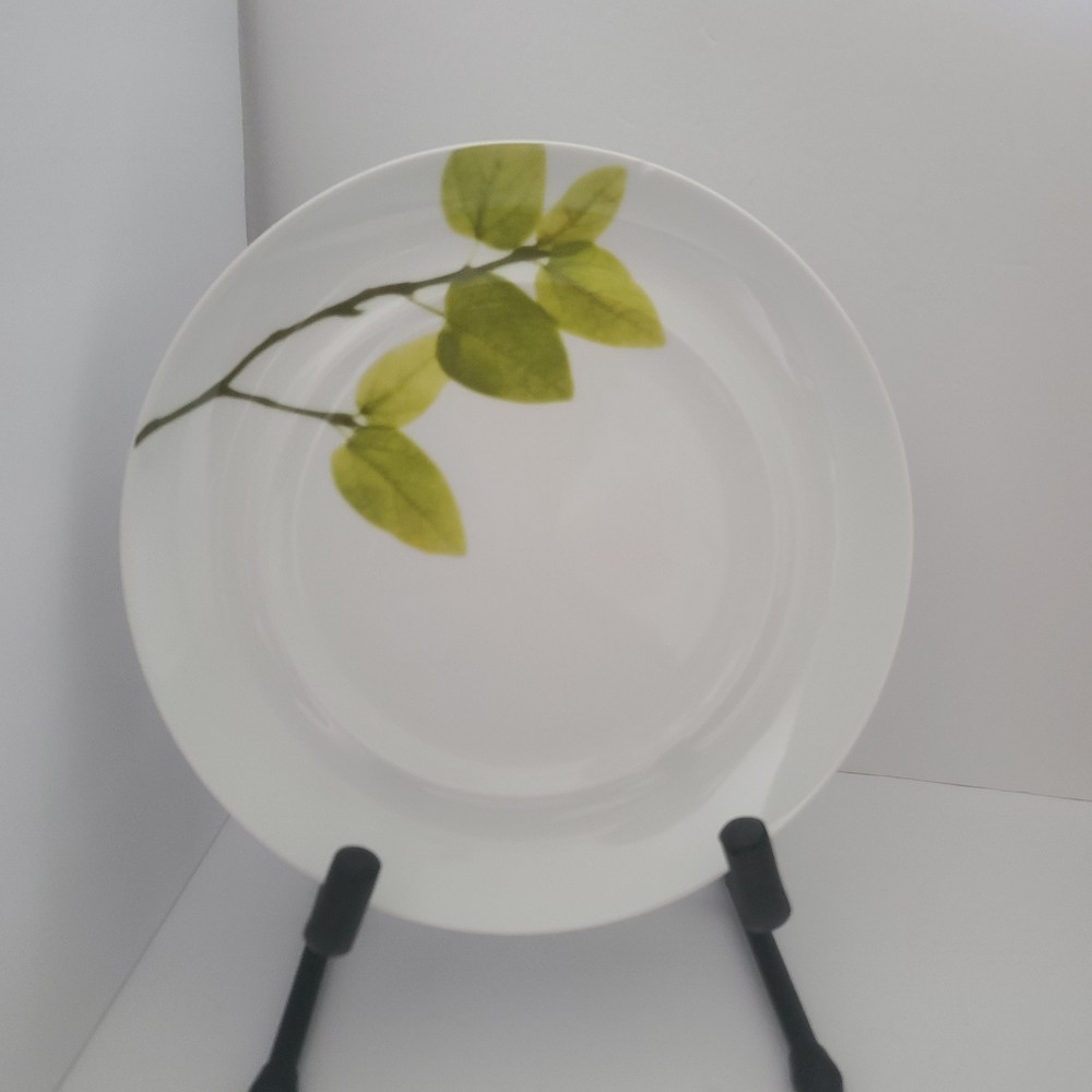 Mikasa ~ Daylight ~ 11" Dinner Plate READ