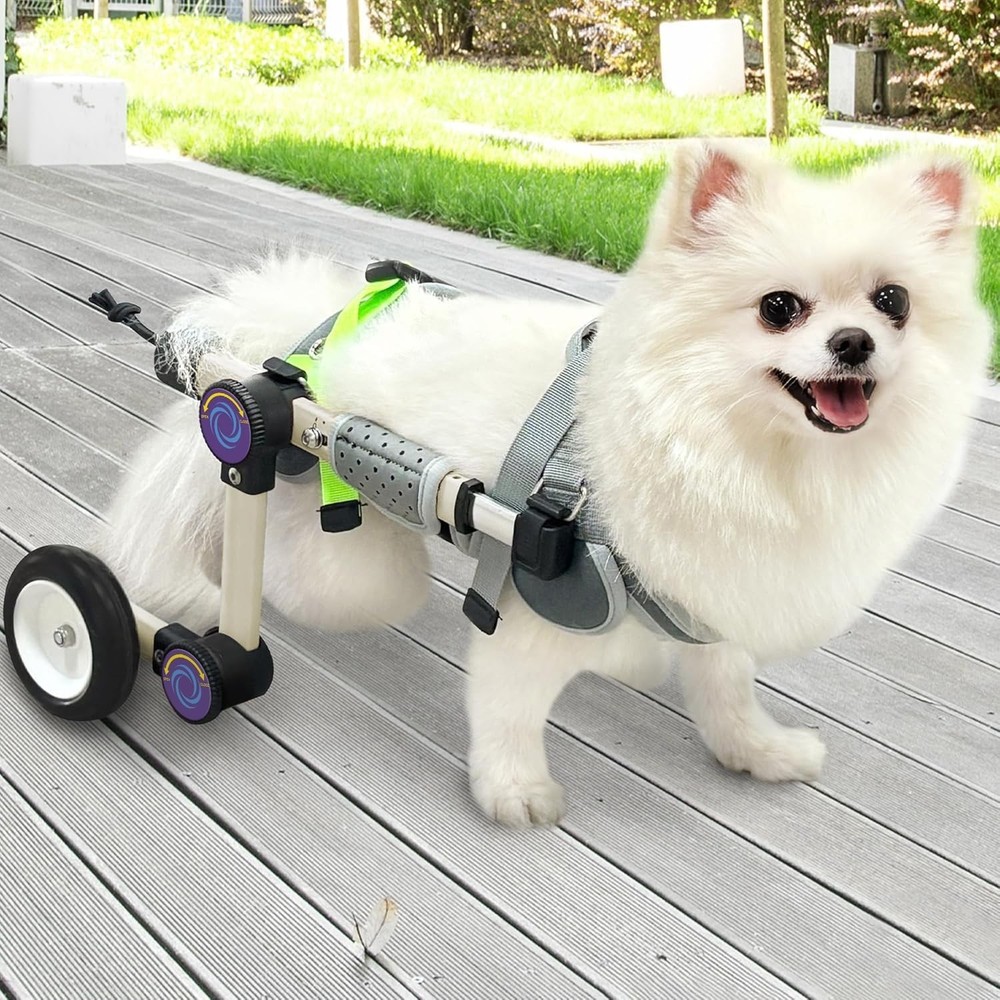 Adjustable Dog Wheelchair for Back Legs Mobility Support - Lightweight - Small